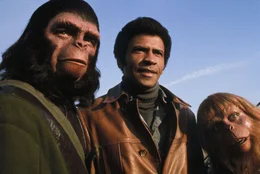 W&auml;hrend sich Caesar (Roddy McDowall, l.) mit Berater Virgil (Paul Williams, r.) und seinem menschlichen Freund MacDonald (Austin Stoker, M.) zu einer zerst&ouml;rten Stadt aufmacht, um ein Video zu suchen, das die Prophezeiungen seiner Eltern zeigt, &uuml;bernimmt der gewaltt&auml;tige Gorilla General Aldo die Macht ...