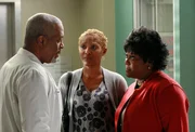 Camille teilt ihrer Mutter (Shelley Robertson, M.) sowie Adele (Loretta Devine, r.) und Webber (James Pickens Jr., l.) mit, dass sie nicht erneut eine Krebsbehandlung über sich ergehen lassen, sondern in Frieden Zuhause sterben will. Ein Schock für alle ...