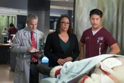 Nice" -- Episode 304 -- Pictured: (l-r) Eddie Jemison as Dr. Stohl, S. Epatha Merkerson as Sharon Goodwin, Brian Tee as Ethan Choi --