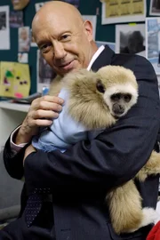 LAW & ORDER: SPECIAL VICTIMS UNIT -- "Wildlife" Episode 1008 -- Pictured: Dann Florek as Capt. Donald Cragen -- NBC