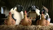 Alle Schafe k&uuml;mmern sich um die Arbeiten auf der Farm und versorgen die anderen Tiere.
