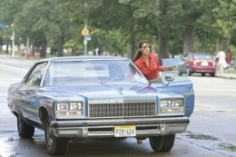 Katherine Heigl als Stephanie Plum