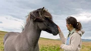 Anna trifft Hengst Hákon. Wie die meisten Islandpferde in Island lebt er das ganze Jahr über draußen auf der Koppel. Anna trifft Hengst Hákon. Wie die meisten Islandpferde in Island lebt er das ganze Jahr über draußen auf der Koppel.