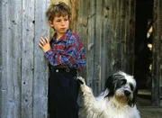Michael (Simon Glöcklhofer) und sein Freund Willy, ein sprechender Hund, sorgen sich um zwei ausgesetzte Welpen. Michael (Simon Glöcklhofer) und sein Freund Willy, ein sprechender Hund, sorgen sich um zwei ausgesetzte Welpen.