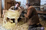 Tierarzt James Herriot (l., Nicholas Ralph) untersucht das kranke Kalb von Kate Billings (r., Lynda Rooke). Tierarzt James Herriot (l., Nicholas Ralph) untersucht das kranke Kalb von Kate Billings (r., Lynda Rooke).