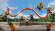 Die Bienen waren etwas schlapp, doch Superwurm bringt sie auf trabb!