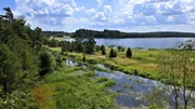Naturpark Heidenreichsteiner Moor.