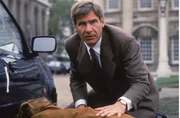 Der ehemalige CIA-Agent Jack Ryan (Harrison Ford) versucht einen Mordanschlag auf die k&ouml;nigliche Familie zu verhindern und ger&auml;t dabei selbst in die Schusslinie der IRA-Attent&auml;ter ...