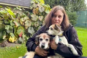 Aus Liebe zu den Hunden. Tiere bedeuten Maike alles, trotzdem muss sie ihre Hundepension schlie&szlig;en.