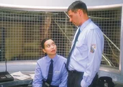 Maja (Anja Re&szlig;mer) will von Hendrik (Ulrich Dewes) mehr als eine blo&szlig;e Aff&auml;re. Zum Geburtstag w&uuml;nscht sie sich deshalb von ihm eine gemeinsame Nacht. Wird Hendrik darauf eingehen?