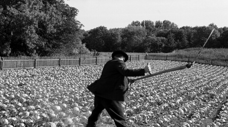 Das wei&szlig;e Band