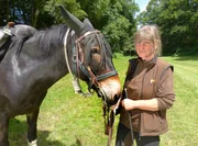 Vor 17 Jahren kaufte sich Julia Kr&uuml;ger einen Haflinger, begann zu reiten. Mittlerweile hat sie eine ganze Herde: sechs Pferde und 12 Mulis. Sie ist Wanderreitf&uuml;hrerin und als eine von wenigen in Baden-W&uuml;rttemberg haupts&auml;chlich mit Maultieren unterwegs.