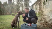 Nachdem Kommissar Pöhlmann (Dominic Boeer) mit einer Box einige Briefe aus der Wohnung der toten Hundetrainerin gesichert hat, freundet er sich mit einem der Hunde an. Nachdem Kommissar Pöhlmann (Dominic Boeer) mit einer Box einige Briefe aus der Wohnung der toten Hundetrainerin gesichert hat, freundet er sich mit einem der Hunde an.