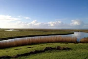 Die Hallig Langeneß wird durchzogen von Gräben und Prielen. Weitere Fotos erhalten Sie auf Anfrage.