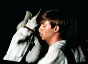 Mit seinem Maultier "Blue" nimmt John-Boy (Richard Thomas) an dem traditionellen Querfeldeinrennen teil.