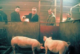 Haben weder Geld noch funktionsf&auml;higen Boxer: Turkish (Jason Statham, r.) und Tommy (Stephen Graham, l.). Aber sie haben den eiskalten Schweinez&uuml;chter Brick Top (Alan Ford, M.) am Hals ...