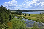 Naturpark Heidenreichsteiner Moor.