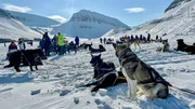 Warten auf den Start: Beim nördlichsten Schlittenhunderennen der Welt sind 20 Teams am Start, gezogen werden die Schlitten unter anderem von „Alaskan Malamutes“ und „Siberian Huskies“. Warten auf den Start: Beim nördlichsten Schlittenhunderennen der Welt sind 20 Teams am Start, gezogen werden die Schlitten unter anderem von „Alaskan Malamutes“ und „Siberian Huskies“.