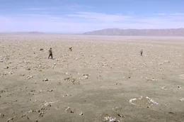 Auf der Suche nach Schwalbennestern durchk&auml;mmen die Ornithologen die W&uuml;ste.