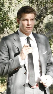 Agent Booth (David Boreanaz) untersucht den Mord an dem Herzchirurgen Dr. Andrew Welton, dessen Leiche stark angeknabbert im Tigerk&auml;fig eines Safarizoos gefunden wurde.