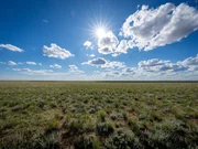 Endlose Weite: Die kasachische Steppe ist riesig groß. In Kasachstan findet sich der größte und noch am besten erhaltene Teil der großen Eurasischen Steppe.