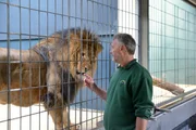 Wenn Tierpfleger Detlef Liebschwager morgens um sechs Uhr zur Arbeit kommt, beginnt der Tag im Zoo für ihn zunächst mit einem Rundgang im Raubtierhaus. Anschließend bekommt Malaienbärin Maika ihre Suppe serviert – selbstverständlich vom Revierchef persönlich! Die alte Bären-Dame lebt jetzt im ehemaligen Gehege von Panda Bao Bao, der 2012 im Alter von 34 Jahren verstorben ist. - Revier-Tierpfleger Detlef Liebschwager bei den Löwen im Zoo Berlin. Wenn Tierpfleger Detlef Liebschwager morgens um sechs Uhr zur Arbeit kommt, beginnt der Tag im Zoo für ihn zunächst mit einem Rundgang im Raubtierhaus. Anschließend bekommt Malaienbärin Maika ihre Suppe serviert – selbstverständlich vom Revierchef persönlich! Die alte Bären-Dame lebt jetzt im ehemaligen Gehege von Panda Bao Bao, der 2012 im Alter von 34 Jahren verstorben ist. - Revier-Tierpfleger Detlef Liebschwager bei den Löwen im Zoo Berlin.