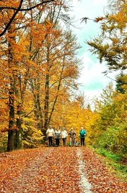 Das Dorf Altendambach liegt am Südhang des Thüringer Waldes. Ein Paradies für Wanderer und für die Nordic-Walking-Gruppe aus dem Dorf.