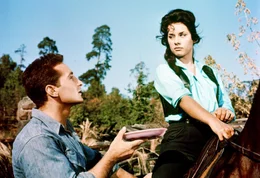 Freddy Quinn, Vera Tschechowa.