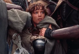 Der Bann des Ringes raubt Frodo (Elijah Wood) zunehmend seine Kr&auml;fte ...
