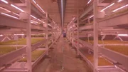 W&auml;hrend des Zweiten Weltkriegs Zufluchtsst&auml;tte f&uuml;r Tausende Londoner. Heute Unternehmensstandort von Growing Underground &ndash; Londons erster Untergrundfarm.