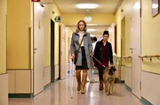 Die blinde Anw&auml;ltin Romy Heiland und ihre Assistentin Ada Holl&auml;nder m&uuml;ssen zu ungew&ouml;hnlichen Mitteln greifen: sie schmuggeln den Svenja Benders ehemaligen Diensthund Dexter ins Krankenhaus.