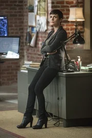 Durch einen neuen Fall, muss sich Brody (Zoe McLellan) einigen unangenehmen Fragen der Beh&ouml;rden stellen, wodurch ein paar dunkle Geheimnisse aus ihrer Vergangenheit offengelegt werden ...