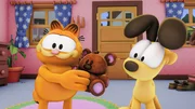 Garfields Teddy ist frisch gewaschen.