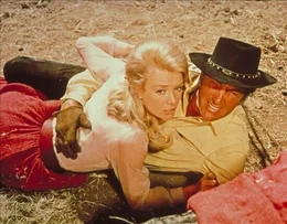 Lily Langford (Inger Stevens) und Van Morgan (Dean Martin)