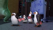 L-R: Skipper, Private, Kowalski, Rico L-R: Skipper, Private, Kowalski, Rico