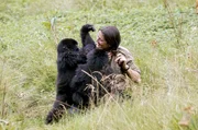 Dian Fossey mit den Gorillas Coco und Pucker: Die Primatenforscherin widmete ihr Leben dem Schutz der wenigen verbliebenen Berggorillas.