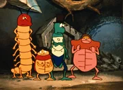 Gro&szlig;e Emp&ouml;rung herrscht unter den K&auml;fern - eine stinkende Wanze ist zu ihnen gekommen.