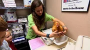 Amy and chicken with kids at the vet.