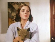 Kim Cattrall (Joanne). Kim Cattrall (Joanne).