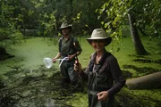 Phil Torres und Jessica Chobot führen ein Experiment im Big Thicket durch.
