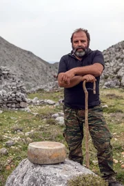 Schafe des Hirten Kostas Gyparis liefern solchen Graviera-Käse.