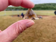 Eine Pfeilspitze aus Feuerstein, entdeckt im Trelai Park.