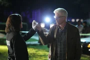 Sara (Jorja Fox) und D.B. Russell (Ted Danson) suchen fieberhaft nach Hinweisen auf den Verbleib von D.B.'s entf&uuml;hrter Enkelin. Wird D.B. Kaitlyn noch lebend wiedersehen?