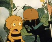 Maja trifft eine Ameise, die zum ersten Mal in ihrem Leben Urlaub machen m&ouml;chte. Aber Urlaub vom Ameisenstamm w&uuml;rde sie nie bekommen. Sie &uuml;berredet Maja, Ersatzdienst zu schieben.