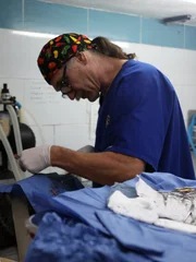 With thousands of animals in need, and vet care unaffordable to most, Dr. Jeff and his team head to Mexico to run a mobile clinic and help as many people and pets as they can. With thousands of animals in need, and vet care unaffordable to most, Dr. Jeff and his team head to Mexico to run a mobile clinic and help as many people and pets as they can.