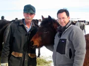 Pferde-Retter: Scherer mit Rancher in North Dakota.