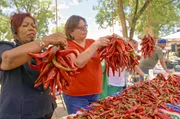 In New Mexico wird der Anaheim-Fruchttyp angebaut, eine der beliebtesten Chilischoten in den USA. In New Mexico wird der Anaheim-Fruchttyp angebaut, eine der beliebtesten Chilischoten in den USA.