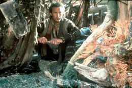 Kevin Costner.