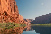 Artenvielfalt pur: der Grand Canyon im Westen der USA