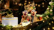 NDR Fernsehen EIN FALL FÜR DIE ERDMÄNNCHEN, "Weihnachtsmann gesucht", am Donnerstag (24.12.20) um 06:30 Uhr. Jan und Henry feiern Weihnachten. NDR Fernsehen EIN FALL FÜR DIE ERDMÄNNCHEN, "Weihnachtsmann gesucht", am Donnerstag (24.12.20) um 06:30 Uhr. Jan und Henry feiern Weihnachten.